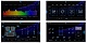 Prology CMX-230 FM/USB ресивер