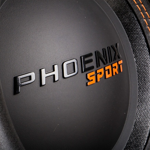 DL Audio Phoenix Sport 12