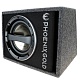 Phoenix Gold Z110ABV2 Сабвуфер активный корпусной