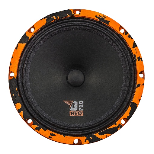 Акустика DL Audio Gryphon Pro 200 Neo (пара)