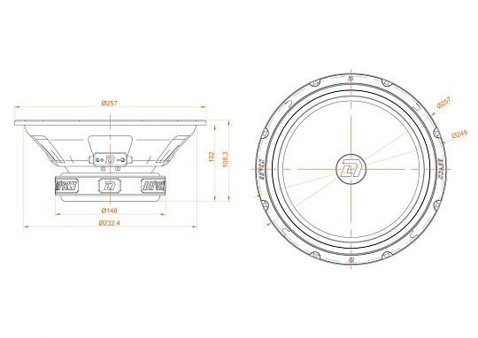 Акустика DL Audio Raven 250