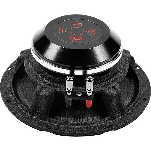 УРАЛ ПАТРИОТ АС-ПТ165.2 ГРОМ Акустическая система