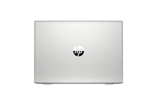 Ноутбук 15.6" HP ProBook 450 G7, 2D193EA#ACB, серебристый