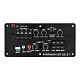 DL Audio Piranha 12A SE 2.1 Активный сабвуфер