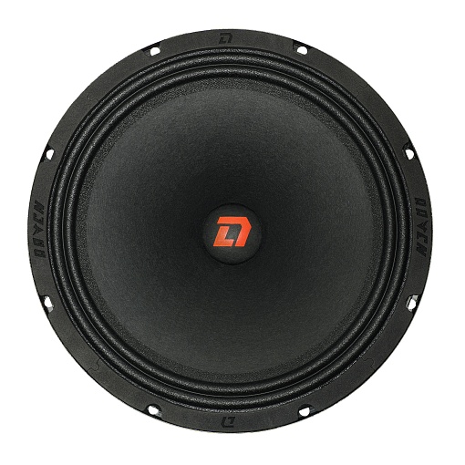 DL Audio Raven 250 v.2 Акустическая система