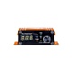 DL Audio Gryphon Pro 2.2000