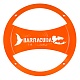 Защитная сетка DL Audio Barracuda 200 Grill Orange