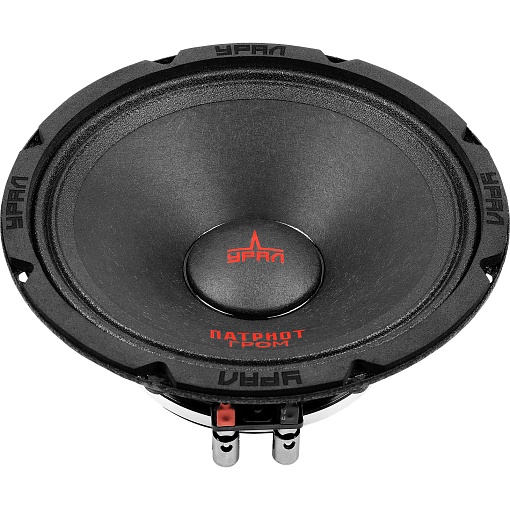 УРАЛ ПАТРИОТ АС-ПТ165.2 ГРОМ Акустическая система