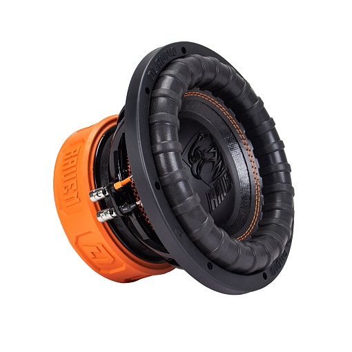 Сабвуфер DL Audio Raven 10 V.2
