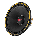 Акустика SPL SHOW 6,5" ACV C6-M300N
