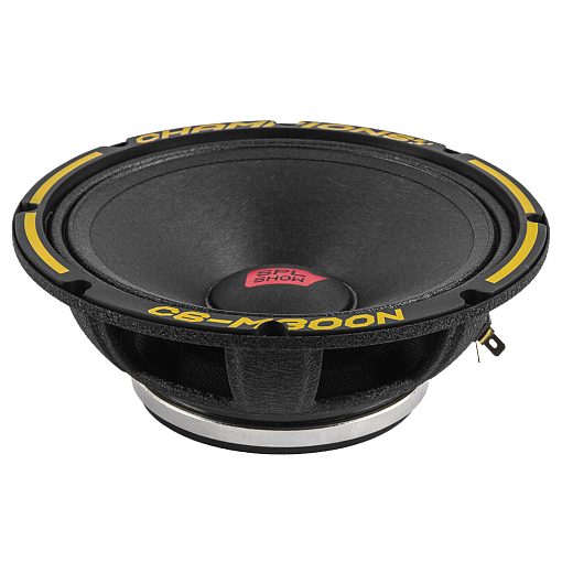 Акустика SPL SHOW 6,5" ACV C6-M300N