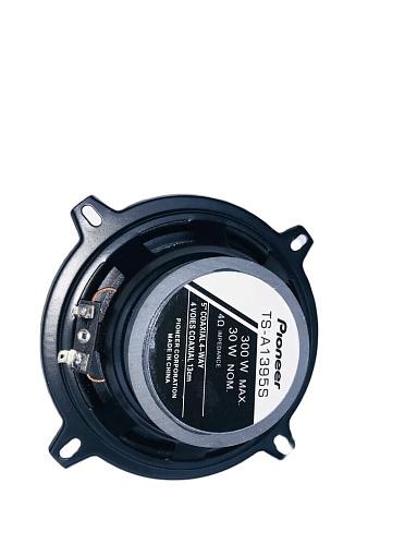 DV-PIONEER.OK TS-A1375 Акустика 13см