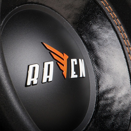 DL Audio Raven 10