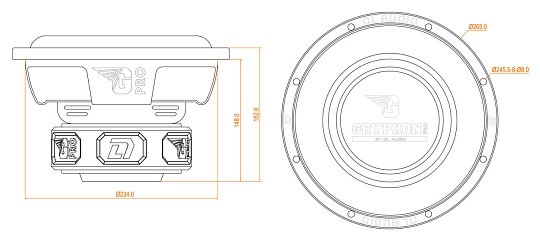 Сабвуферный динамик DL Audio Gryphon Pro 10 V.2 SE