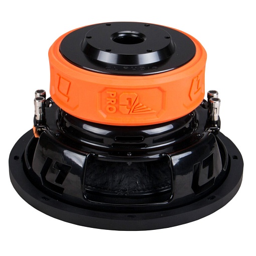 DL Audio Gryphon Pro 10 V.2 Сабвуфер