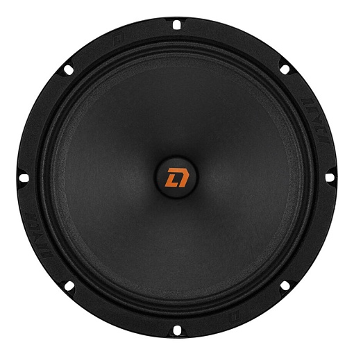 Акустика DL Audio Raven 200