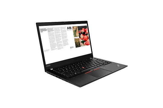 Ноутбук 14" LENOVO ThinkPad T490s, 20NX000DRT, черный