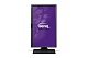 Монитор 23.8" BENQ BL2423PT, 9H.LFSLA.TBE