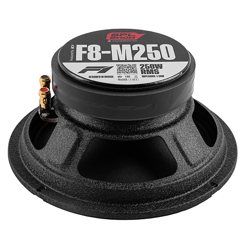 Акустика SPL SHOW 8" ACV F8-M250