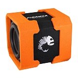 DL Audio Piranha 12A TWIN V.2 Активный сабвуфер Orange