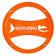 Защитная сетка DL Audio Barracuda 165 Grill Orange