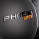 Сабвуфер DL Audio Phoenix Sport 15
