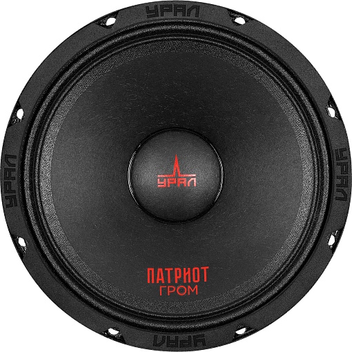 УРАЛ ПАТРИОТ АС-ПТ165.2 ГРОМ Акустическая система