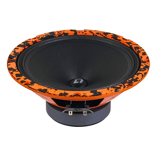 DL Audio Barracuda 200 SE Акустика