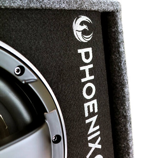 Phoenix Gold Z110ABV2 Сабвуфер активный корпусной