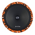 DL Audio Barracuda 200 SE Акустика