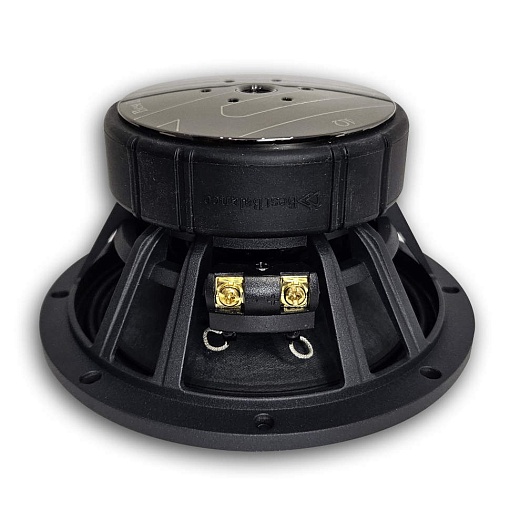 Best Balance R6 Мидбас 6.5"(16.5см) HI-End 4 Ома (сетки в комплекте)